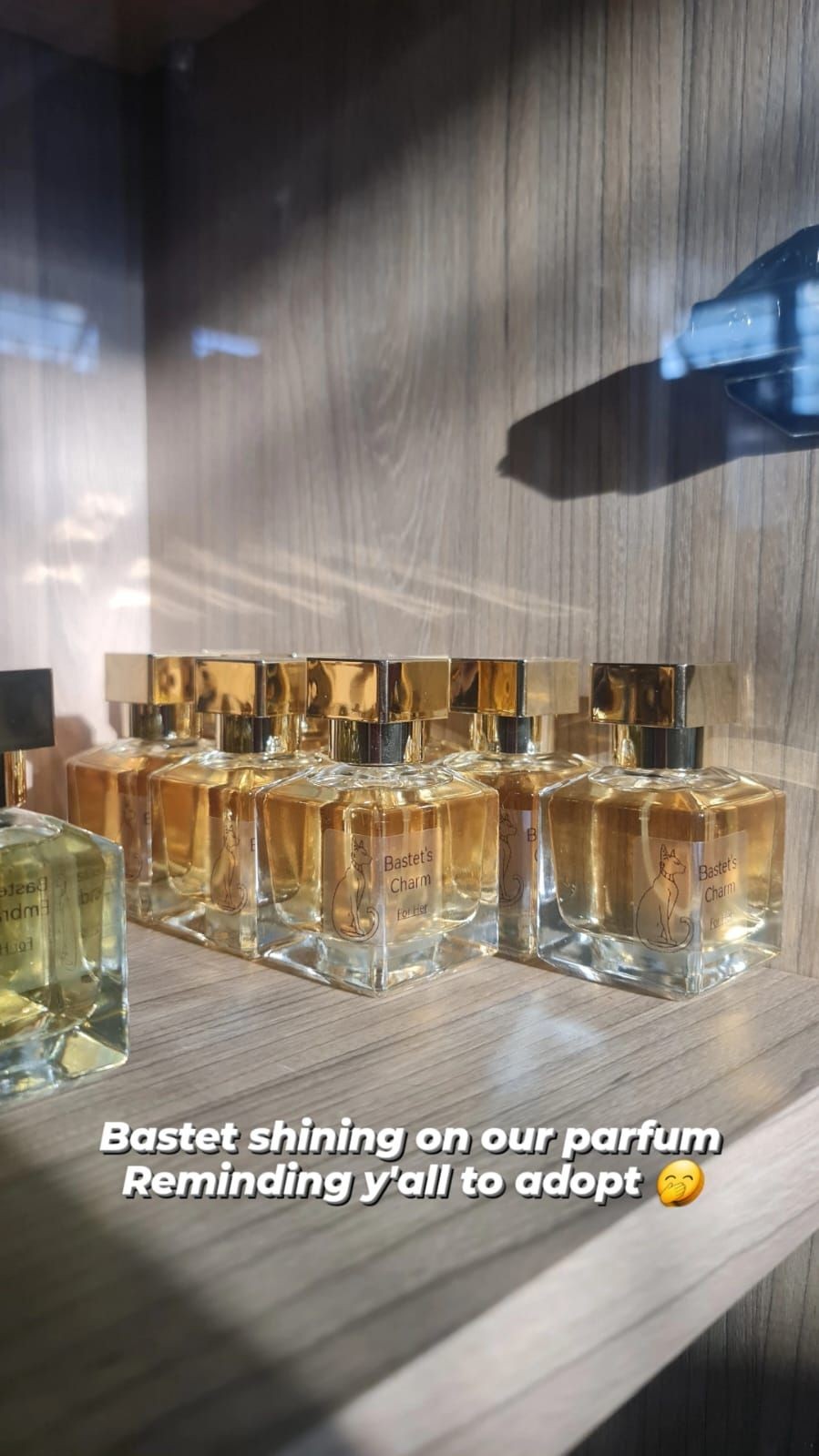 Several bottles of Bastet's Charm perfume on a wooden shelf with a message to adopt.